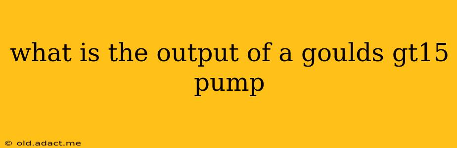 what is the output of a goulds gt15 pump