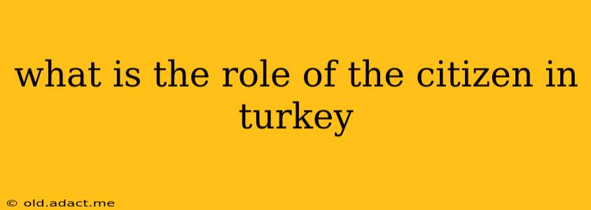 what is the role of the citizen in turkey