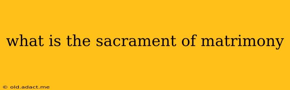 what is the sacrament of matrimony
