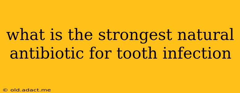 what is the strongest natural antibiotic for tooth infection