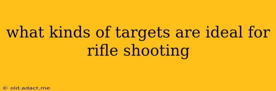 what kinds of targets are ideal for rifle shooting