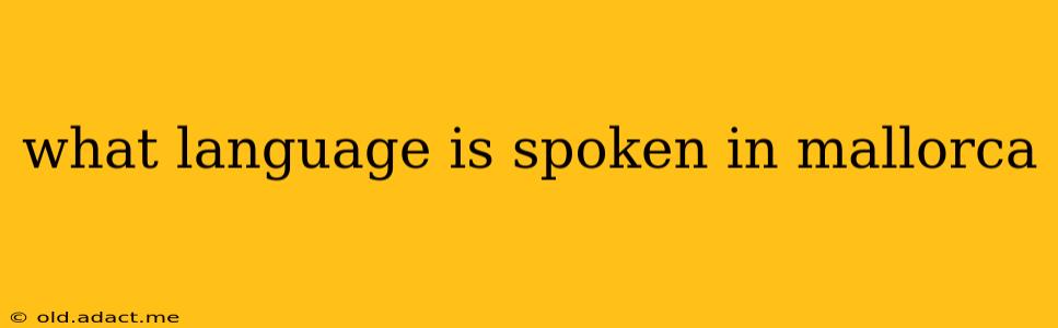 what language is spoken in mallorca