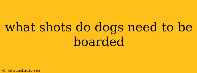 what shots do dogs need to be boarded