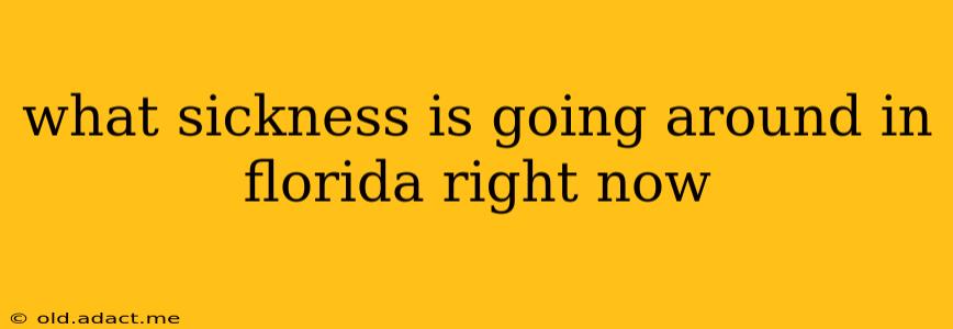 what sickness is going around in florida right now