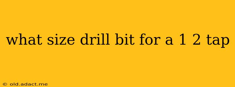 what size drill bit for a 1 2 tap