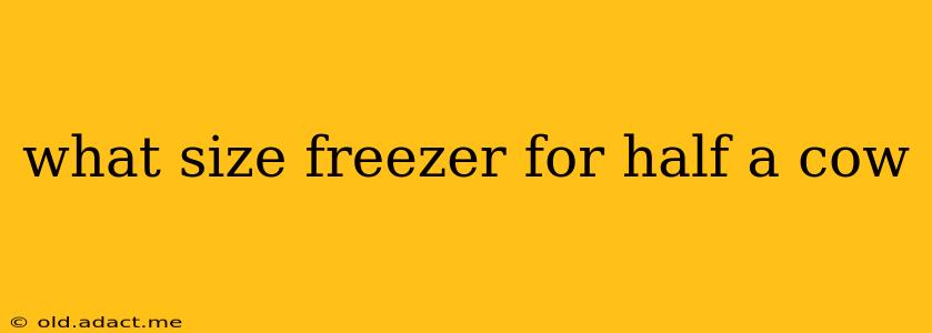 what size freezer for half a cow