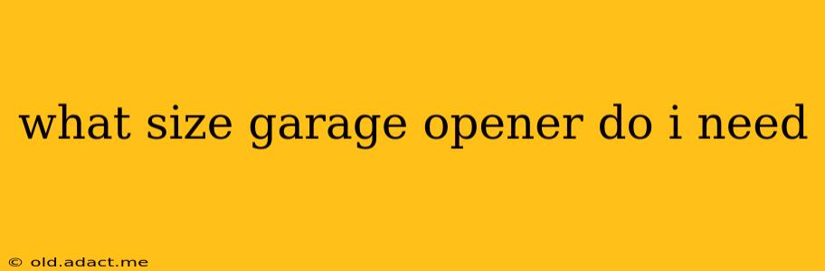 what size garage opener do i need