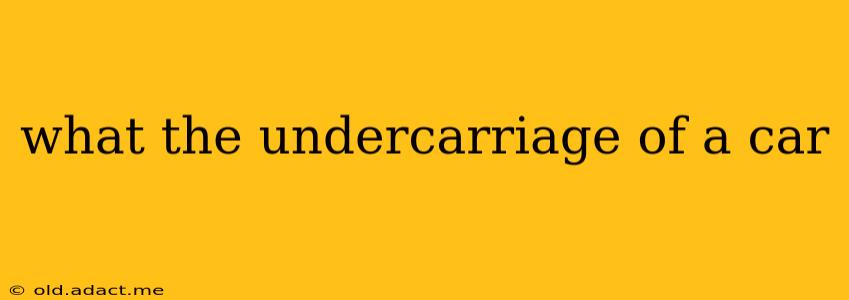 what the undercarriage of a car
