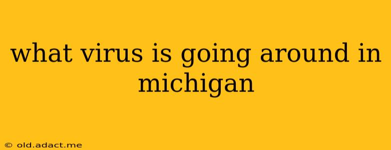 what virus is going around in michigan