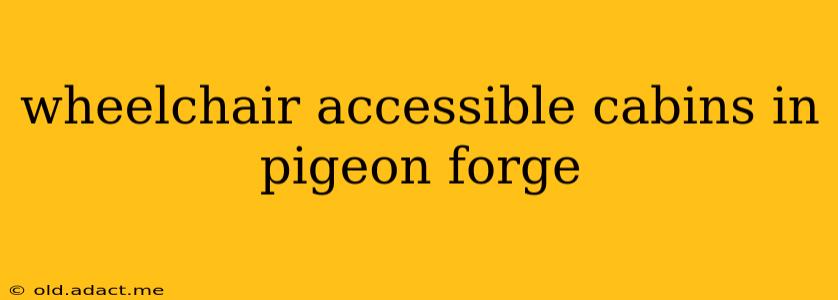 wheelchair accessible cabins in pigeon forge