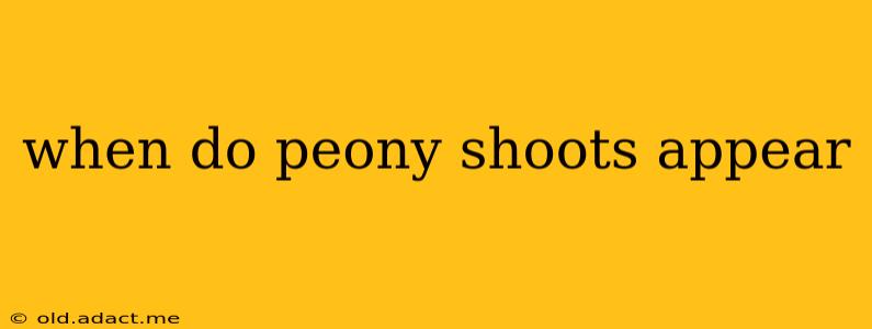 when do peony shoots appear