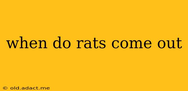 when do rats come out