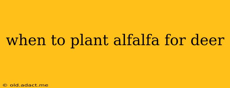 when to plant alfalfa for deer
