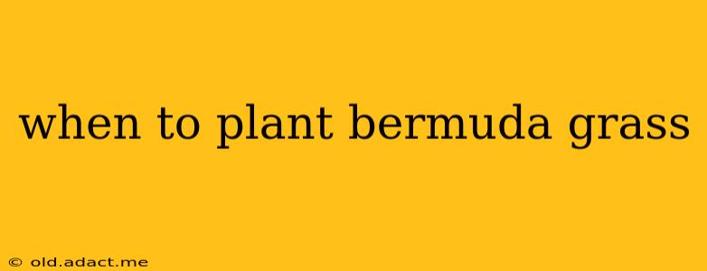 when to plant bermuda grass