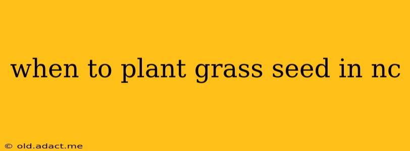 when to plant grass seed in nc