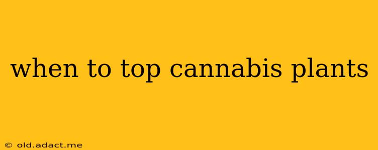 when to top cannabis plants