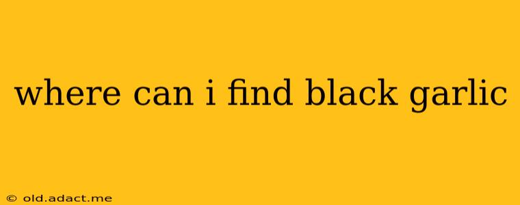 where can i find black garlic