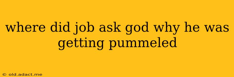 where did job ask god why he was getting pummeled