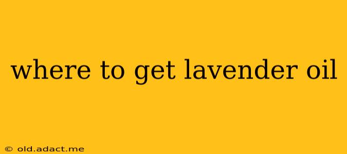 where to get lavender oil