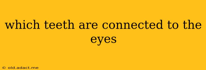 which teeth are connected to the eyes