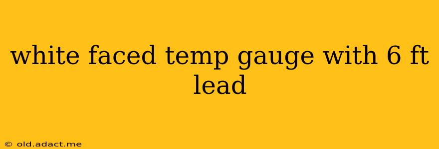 white faced temp gauge with 6 ft lead