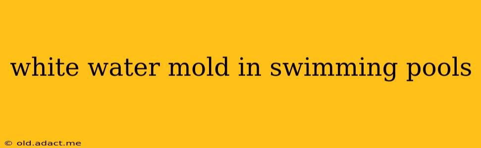 white water mold in swimming pools