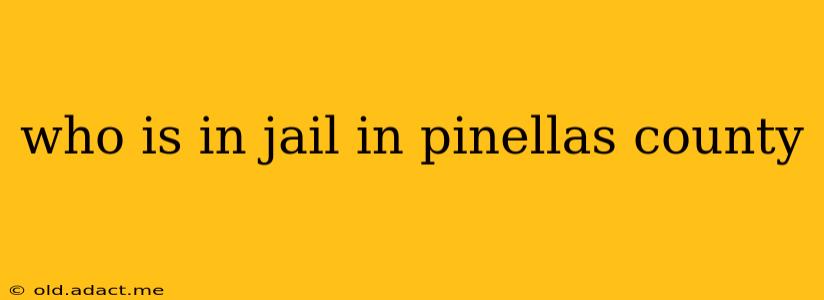 who is in jail in pinellas county