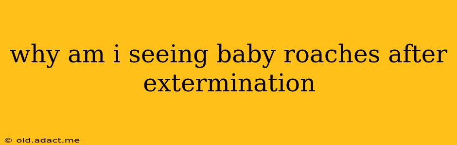 why am i seeing baby roaches after extermination