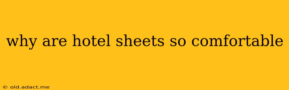 why are hotel sheets so comfortable