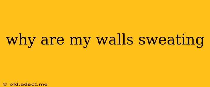 why are my walls sweating