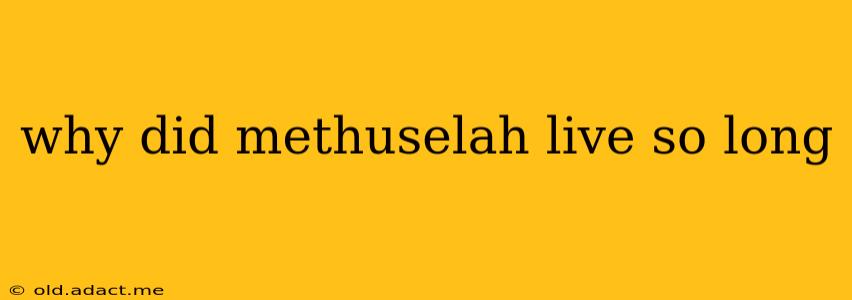 why did methuselah live so long
