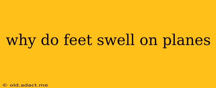 why do feet swell on planes
