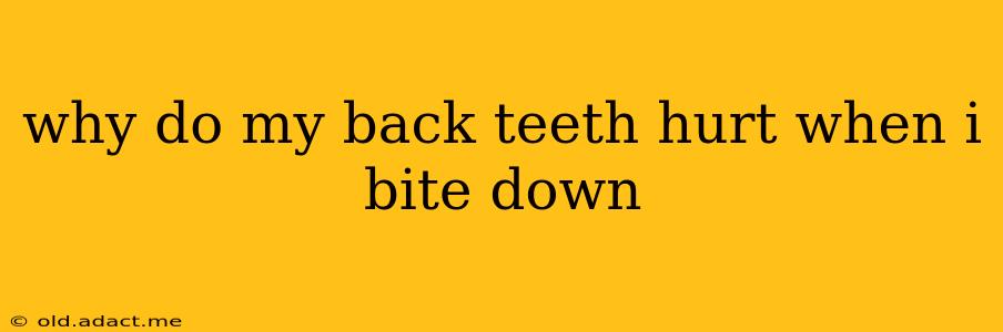 why do my back teeth hurt when i bite down