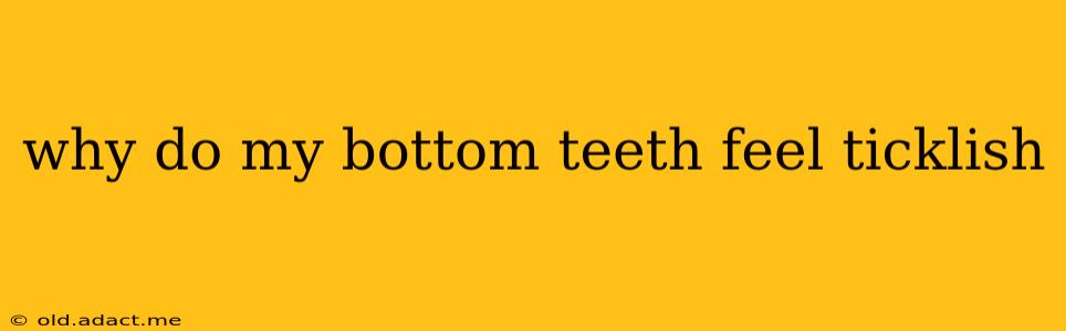 why do my bottom teeth feel ticklish
