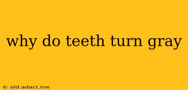 why do teeth turn gray