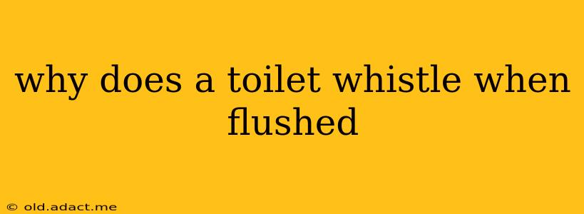 why does a toilet whistle when flushed