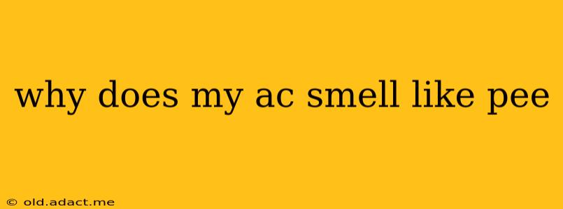 why does my ac smell like pee