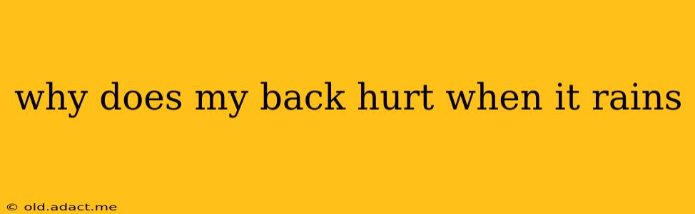 why does my back hurt when it rains