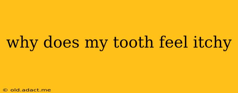 why does my tooth feel itchy