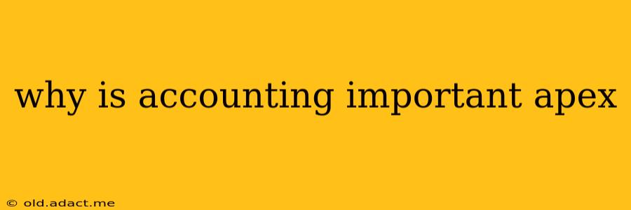 why is accounting important apex