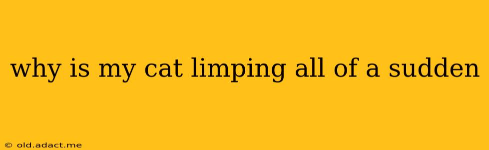 why is my cat limping all of a sudden