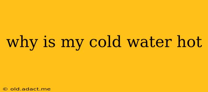why is my cold water hot