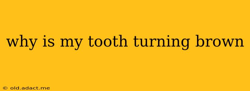 why is my tooth turning brown