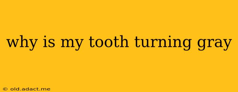 why is my tooth turning gray