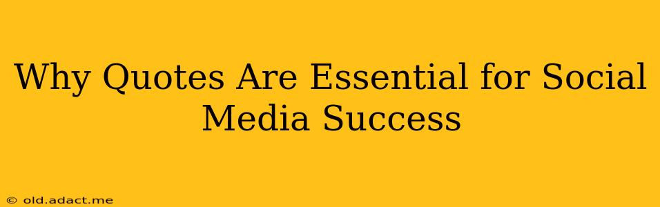 Why Quotes Are Essential for Social Media Success