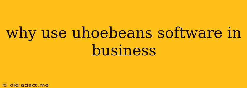 why use uhoebeans software in business
