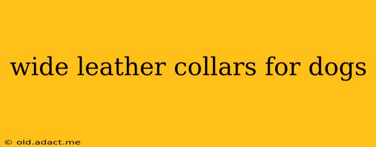 wide leather collars for dogs