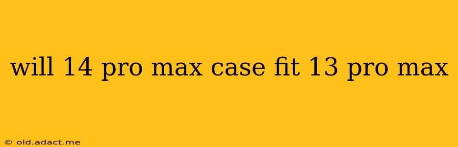 will 14 pro max case fit 13 pro max
