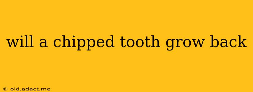 will a chipped tooth grow back