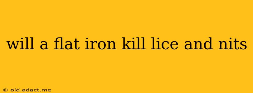 will a flat iron kill lice and nits